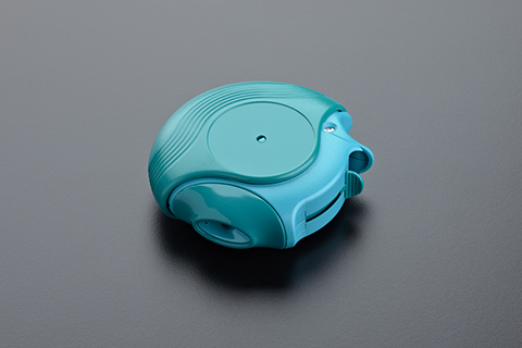 Dry Powder Inhaler