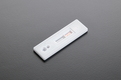 Rapid Diagnostic test